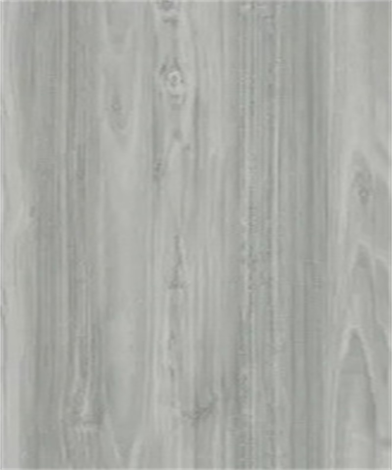 山紋尤加利  多層