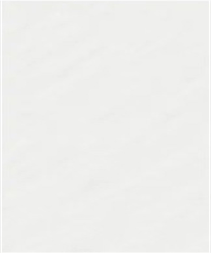 斯坦巖紋-1  杉木